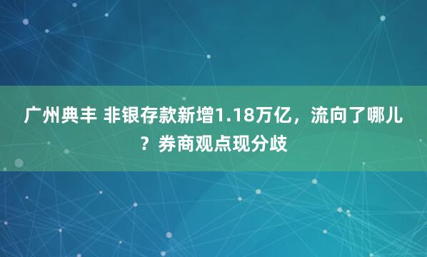 广州典丰 非银存款新增1.18万亿，流向了哪儿？券商观点现分歧