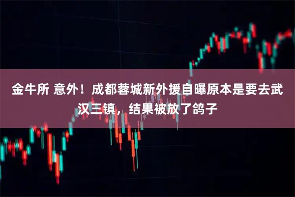 金牛所 意外！成都蓉城新外援自曝原本是要去武汉三镇，结果被放了鸽子