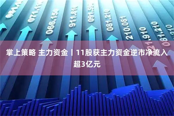 掌上策略 主力资金丨11股获主力资金逆市净流入超3亿元